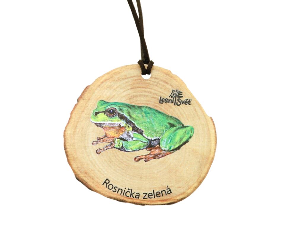 Lesní svět Dřevěná medaile letokruh