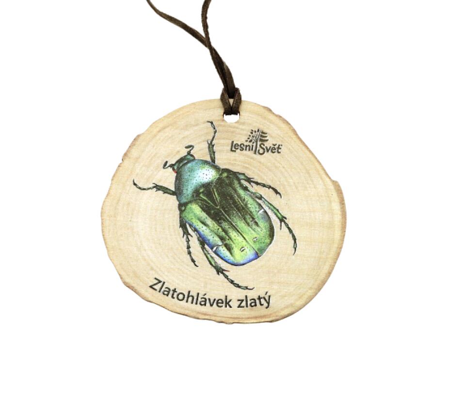 Lesní svět Dřevěná medaile letokruh