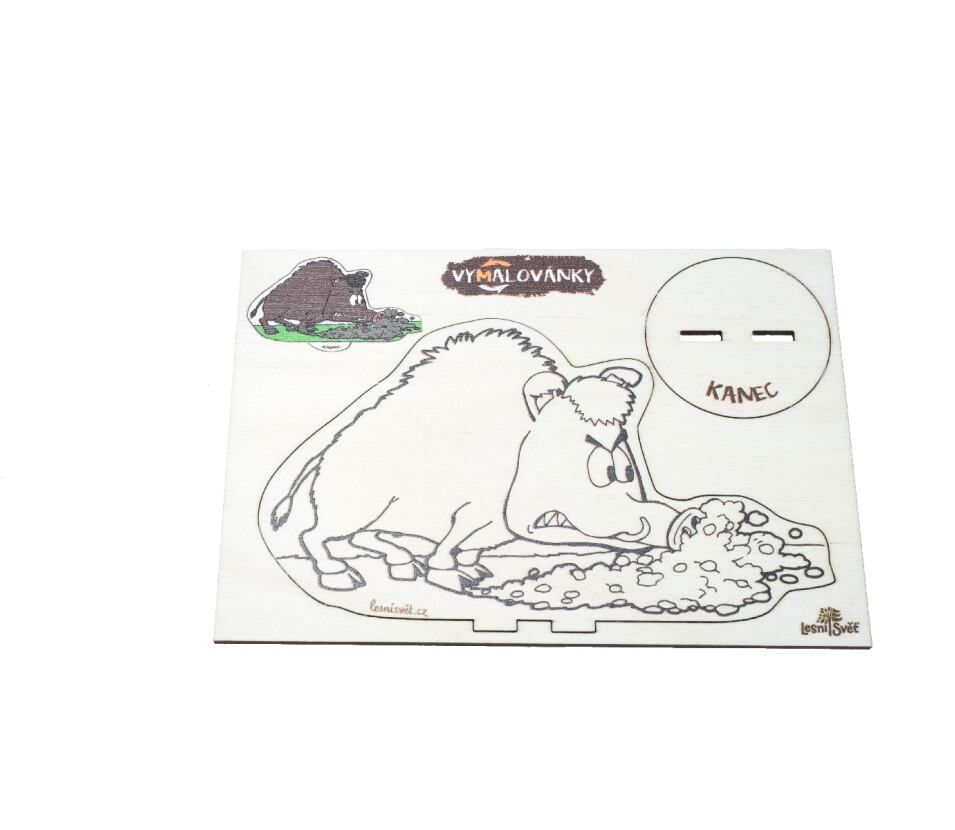 Lesní svět Dřevěné vymalovánky Lesní svět