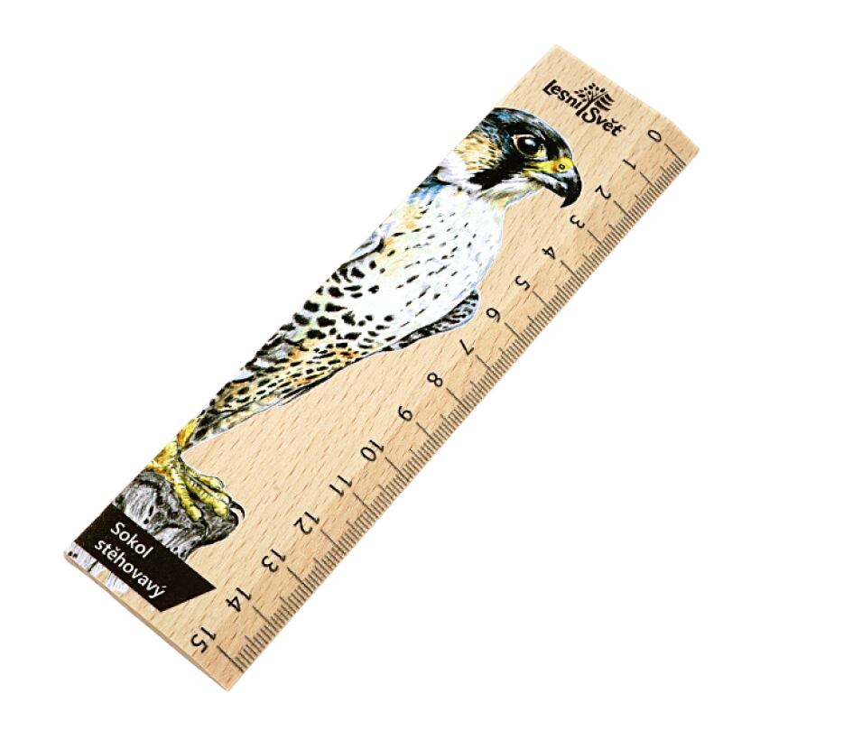 Lesní svět Dřevěné pravítko 15 cm