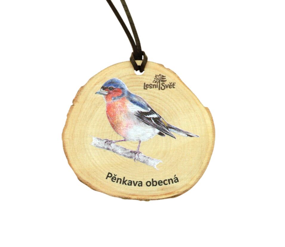 Lesní svět Dřevěná medaile letokruh