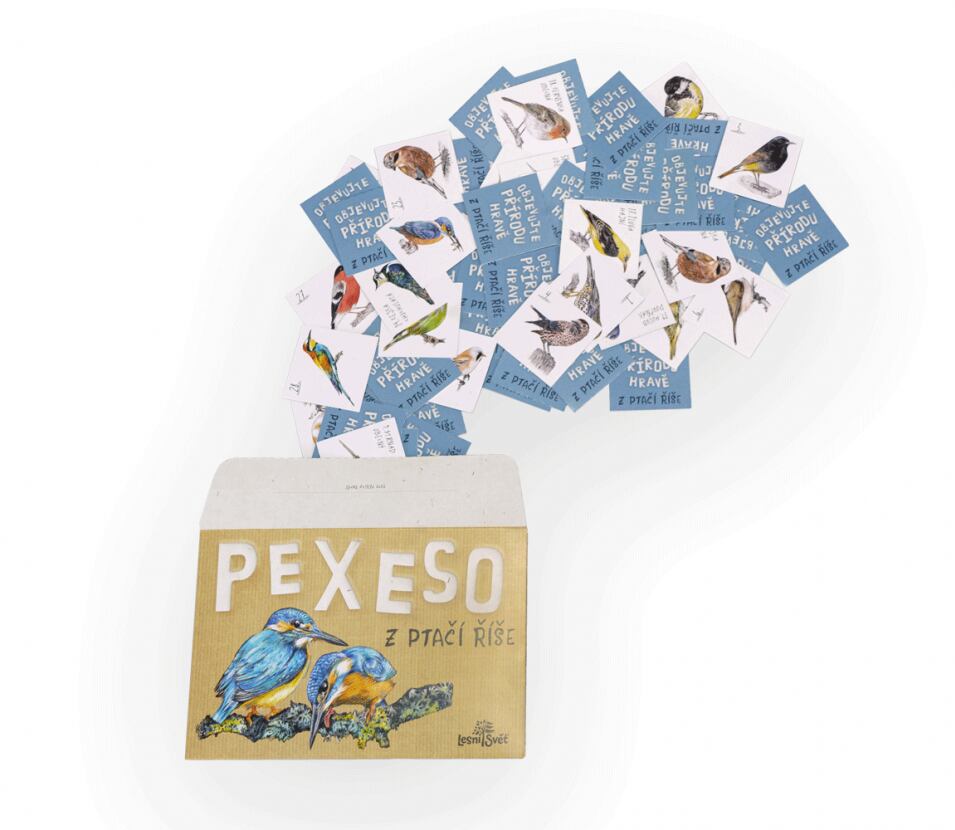 Lesní svět Papírové pexeso Lesní svět